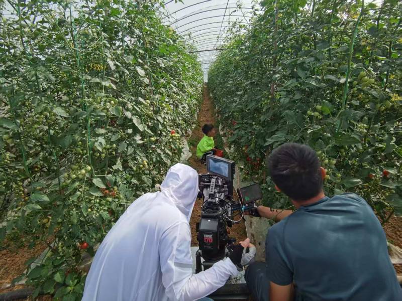 三原县产品宣传视频拍摄公司进阶指南，助力品牌抢占传播高地